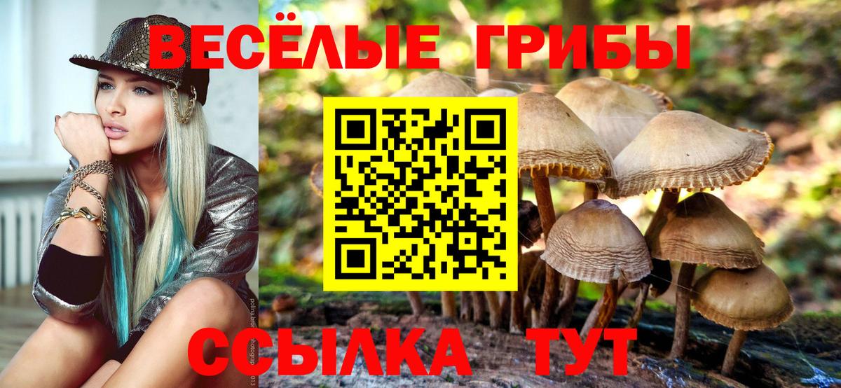 Галлюциногенные грибы ЛСД  Вход с VPN  Белгород 